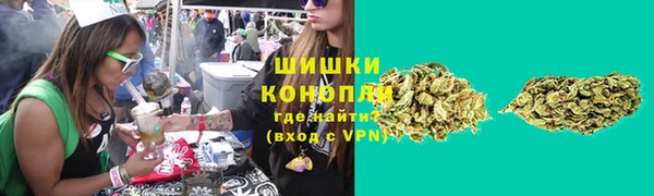 стафф Билибино