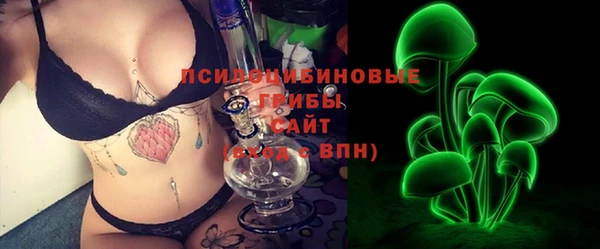 стафф Билибино