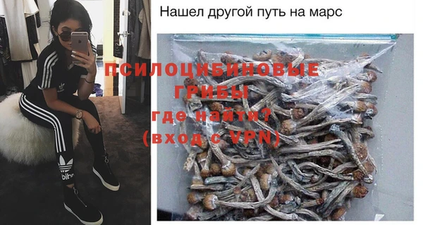 стафф Билибино