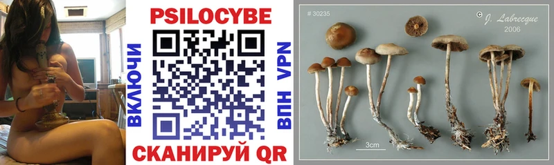 Галлюциногенные грибы Cubensis  Борзя 