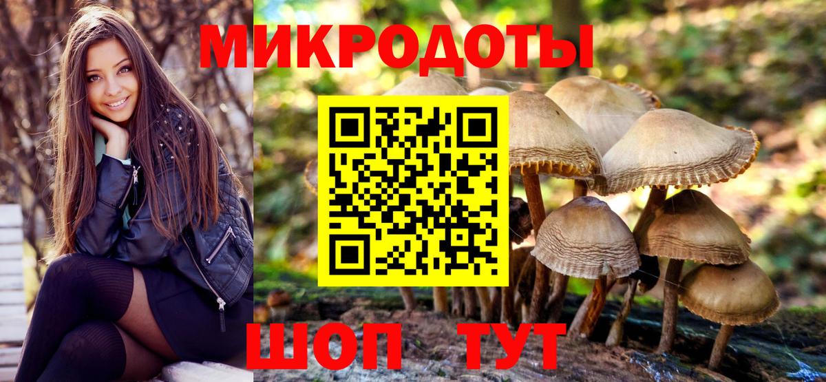 Меф Борзя