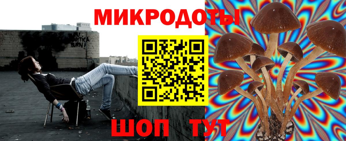 Псилоцибиновые грибы GOLDEN TEACHER Борзя