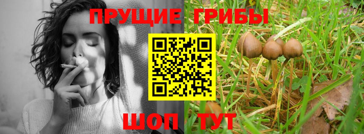 Псилоцибиновые грибы мицелий  продажа наркотиков  Борзя 